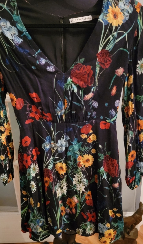 Alice Olivia Floral Mini Dress Size 2